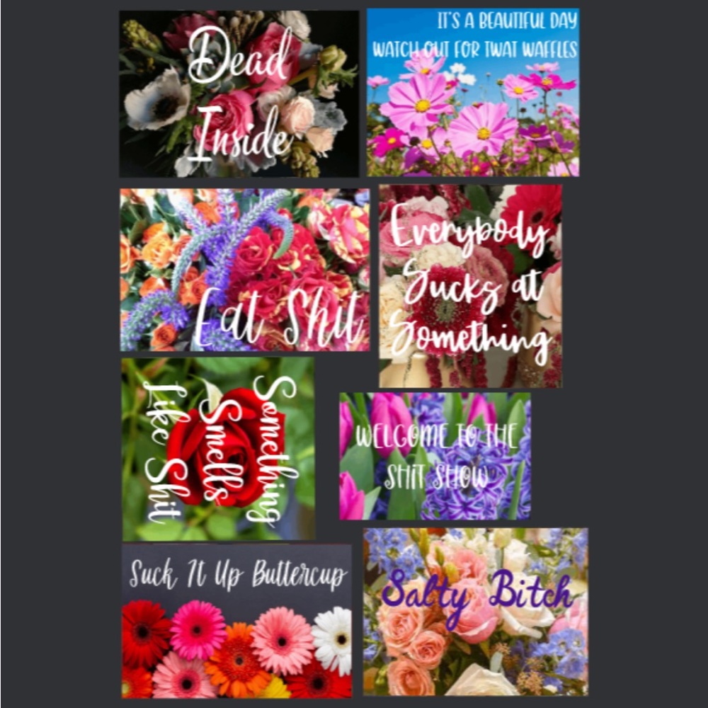 Set of 8 De-motivational Magnets